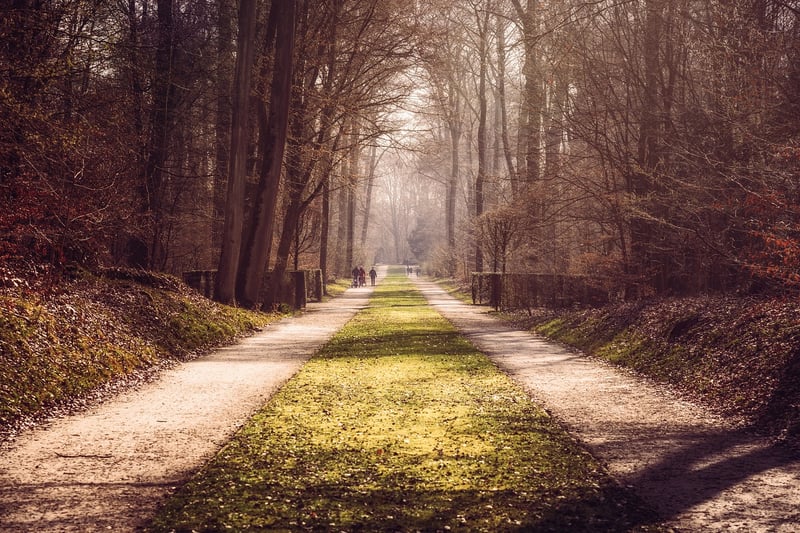 Nature Mindfulness Walks