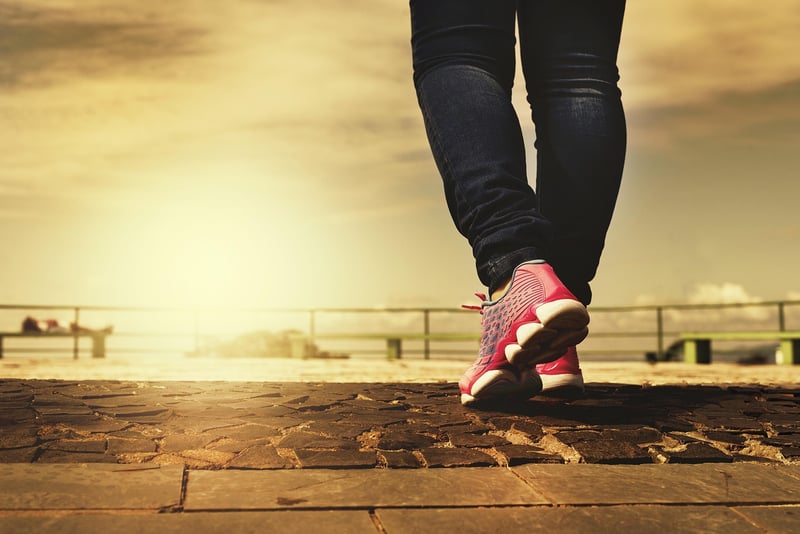Nature Mindfulness Walk